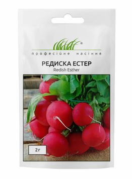 Редиска Естер 459473840 фото