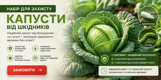 Набір для капусти