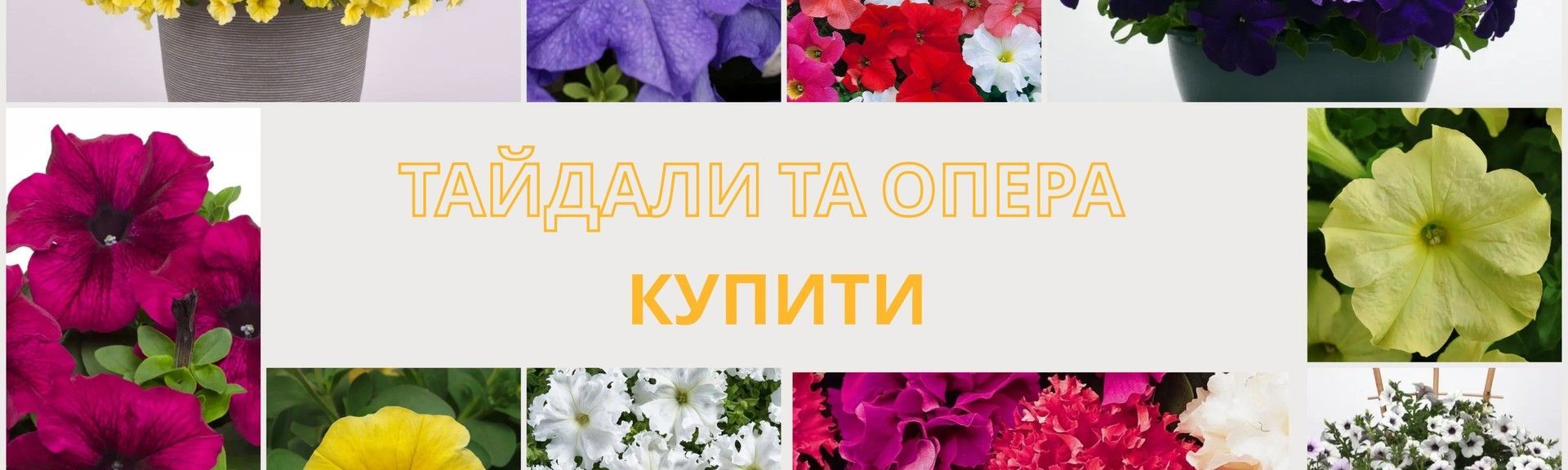 тайдали