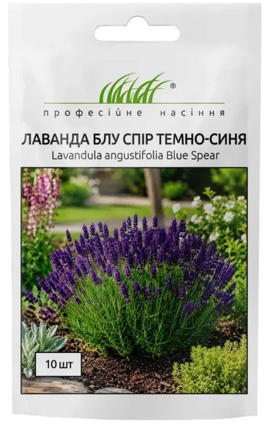 Лаванда вузьколиста Блу Спір (Фасовка: 10 шт; Колір: темно-синій) 983853 фото