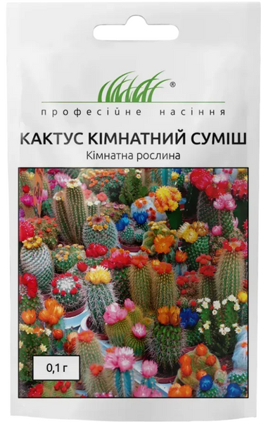 Кактус кімнатний суміш 938533 фото