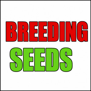 Breeding Seeds, США