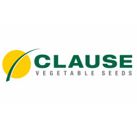 Clause, Франція