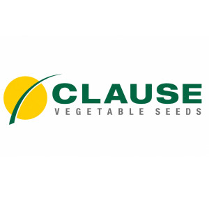 Clause, Франція