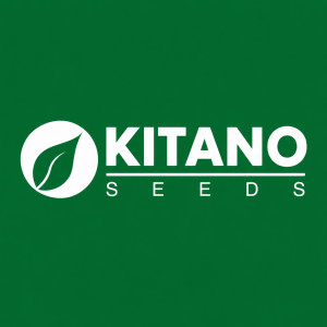 Kitano Seeds, Нідерланди