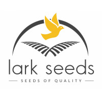 Lark Seeds (США)