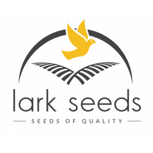 Lark Seeds (США)