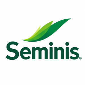 Seminis, Нідерланди