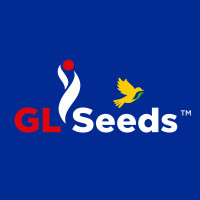 GL-Seeds, Україна