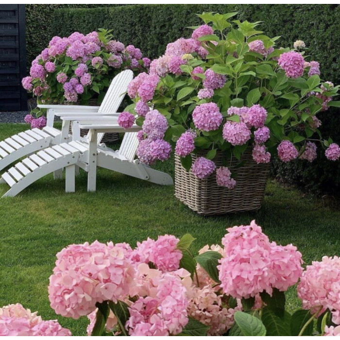 Добриво підкислювач Florcolor