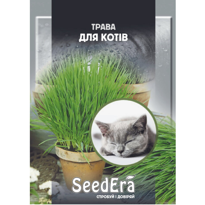 Трава для кошек