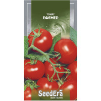 Семена Томат ЭФЕМЕР Seedеra, 3 г