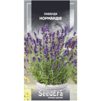 Семена Цветы Лаванда Нормандия многолетняя Seedera, 0,1 г