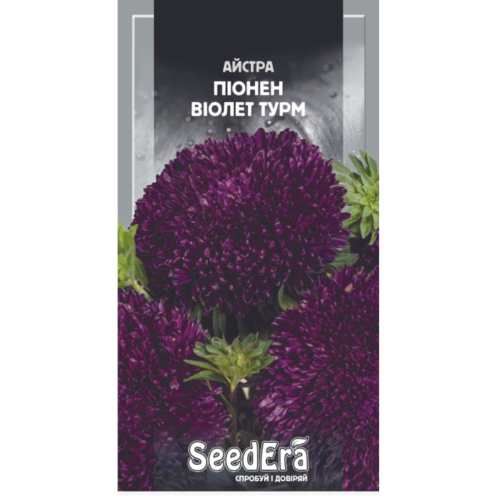 Семена Цветы Астра высокорослая Пионен Виолет Турм Seedera, 0,25 г