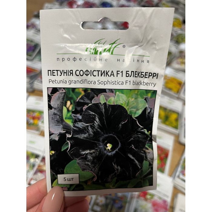 Петунія Софістика F1 Блекберрі 5шт