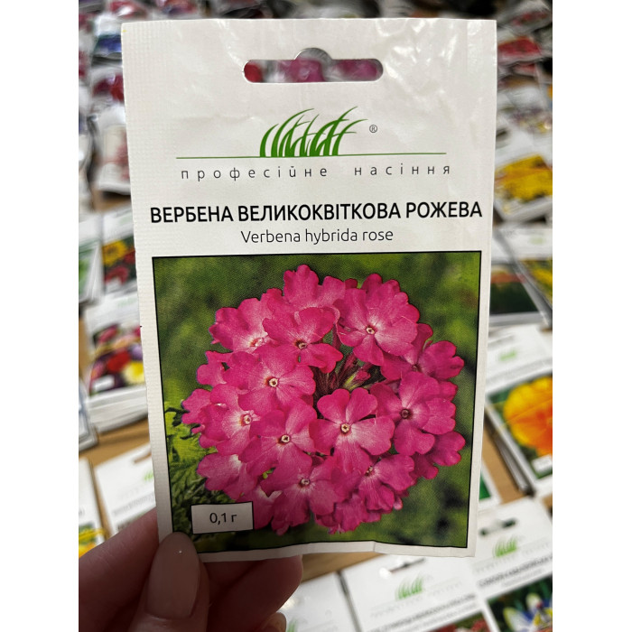 Вербена крупноцветная розовая