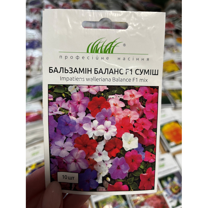 Бальзамін Баланс F1 суміш 10-20см