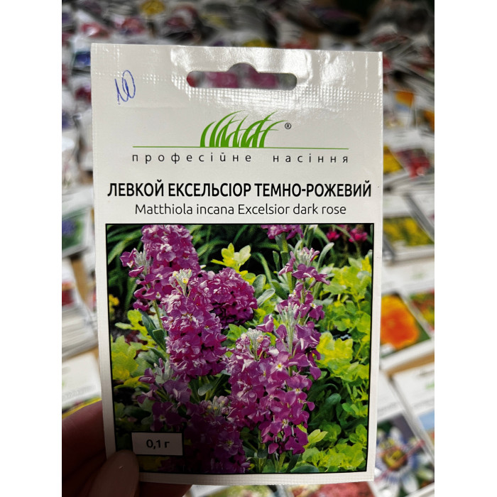 Левкой Эксельсиор темно-розовый 60-70см.