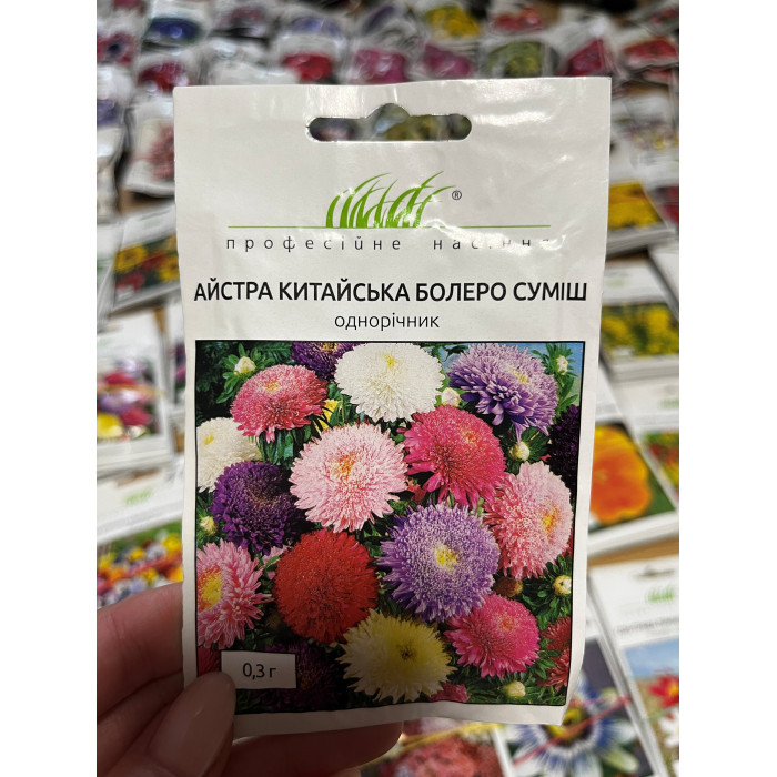 Астра Болеро смесь 50-60см