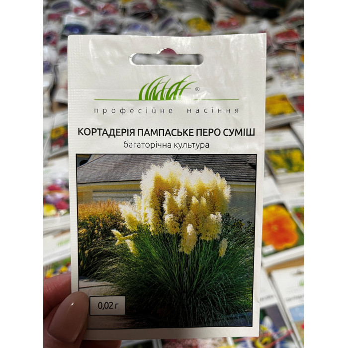 Кортадерия Пампасское перо 200-250см