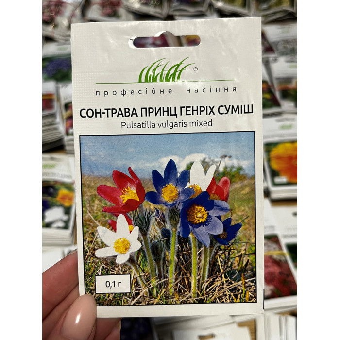 Сон-трава Принц Генріх суміш 25-30см