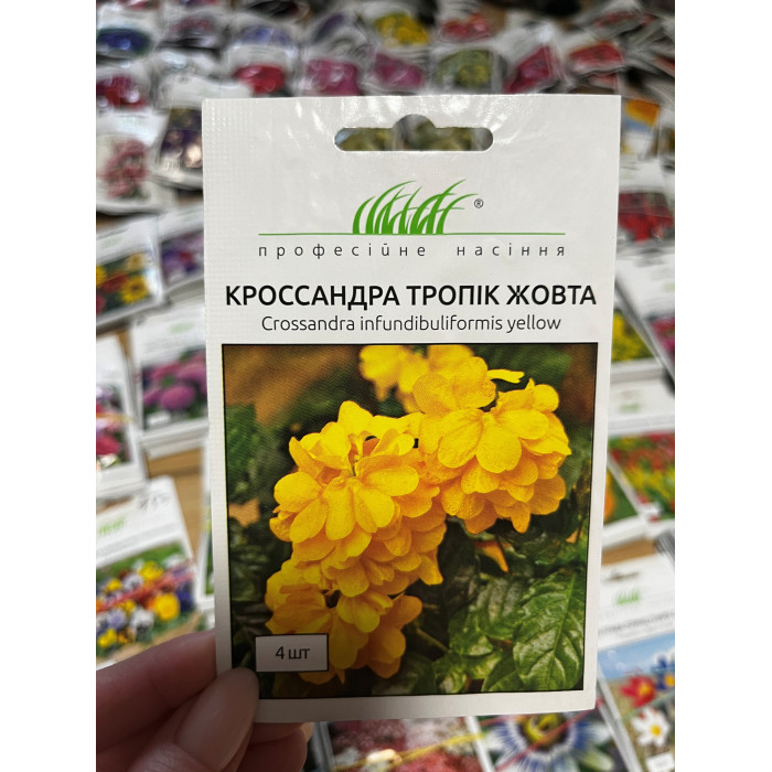 Кроссандра Тропик желтая