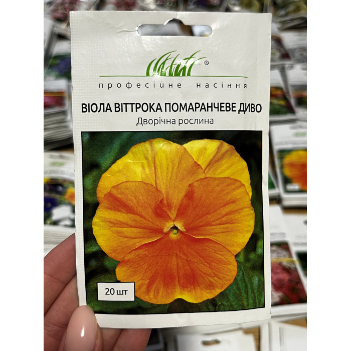 Віола Віттрока Помаранчеве диво 15-20см