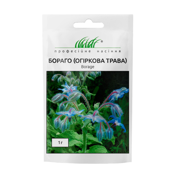Бораго «Огіркова трава»