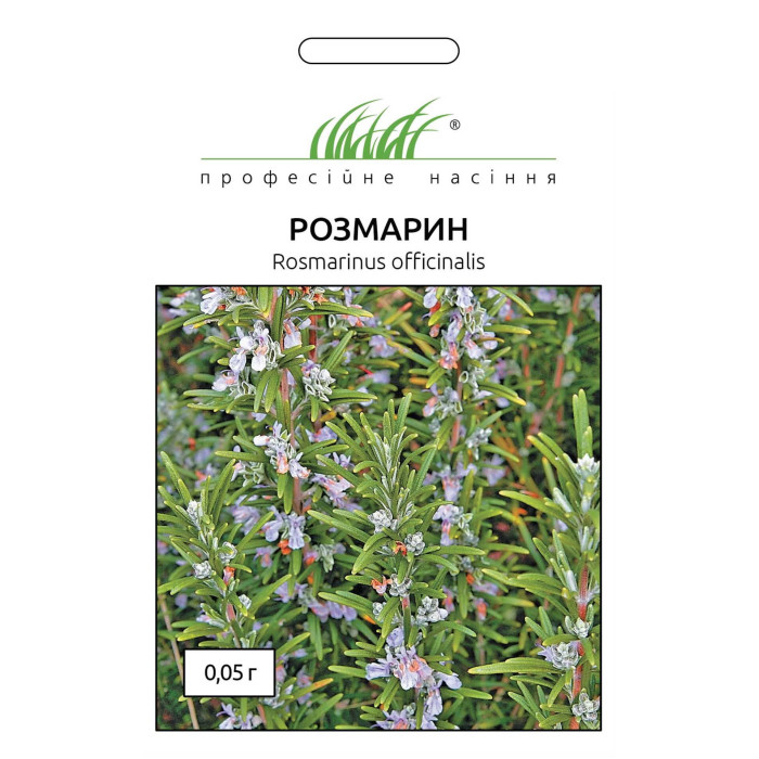 Розмарин