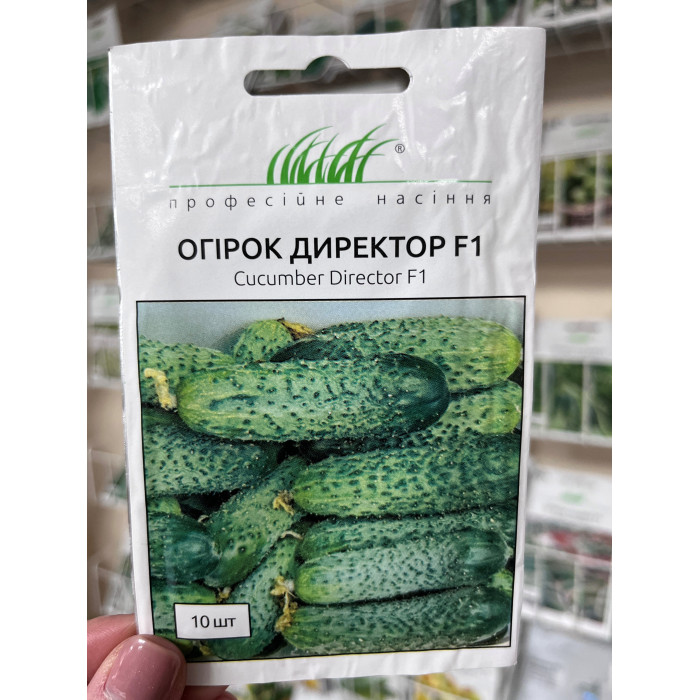 Семена огурца Директор F1 10шт