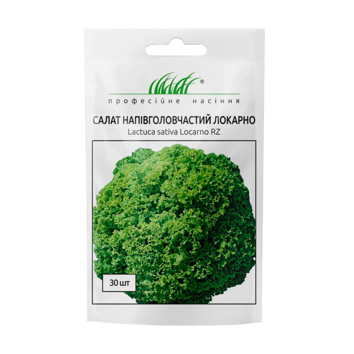 Салат напівголовчастий Локарно