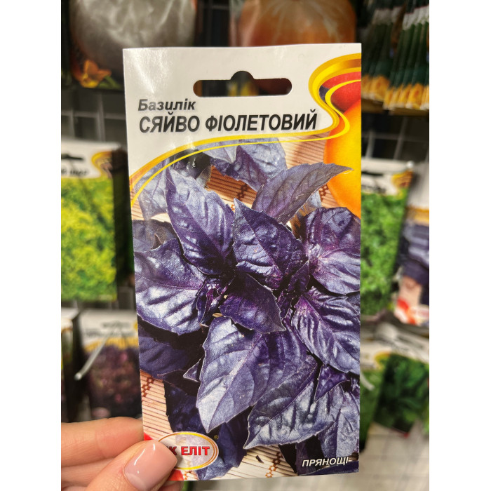 Базилик фиолетовый