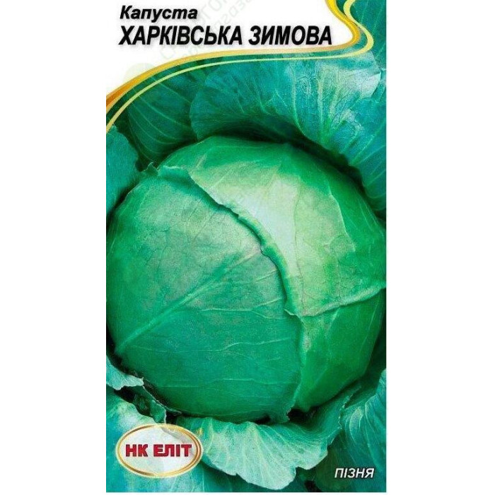 Капуста Харьковская зимняя 1г