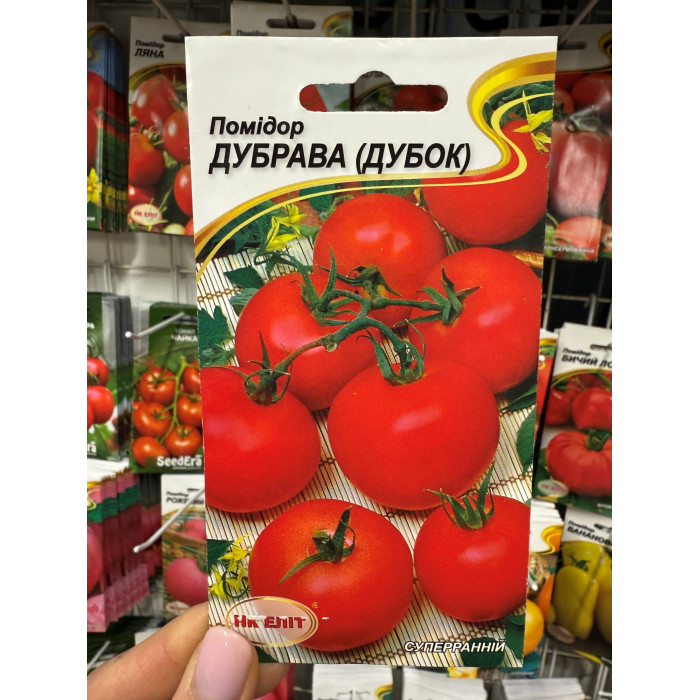 Томат Дубок