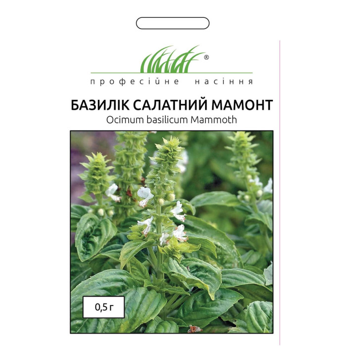 Базилік салатний Мамонт