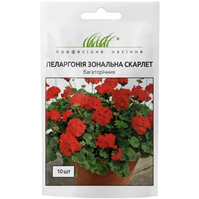 Пеларгония зональная Скарлет