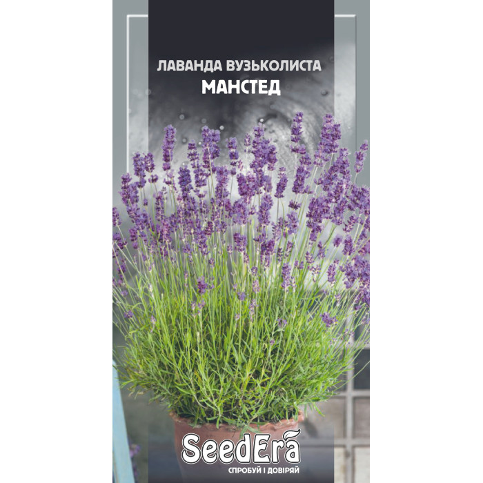 Семена Цветы Лаванда английская узколистная Манстед Seedera, 0,1 г