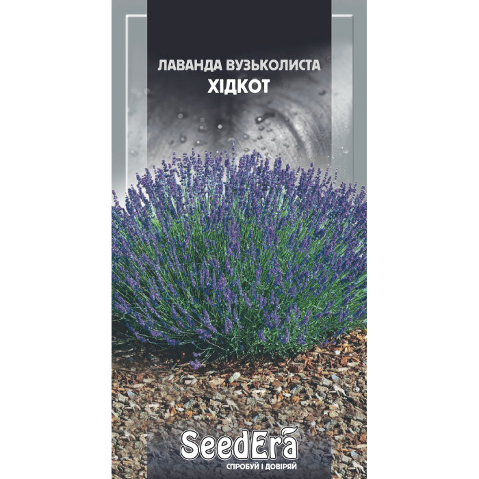 Семена Цветы Лаванда английская узколистная Хидкот Seedera, 0,1 г