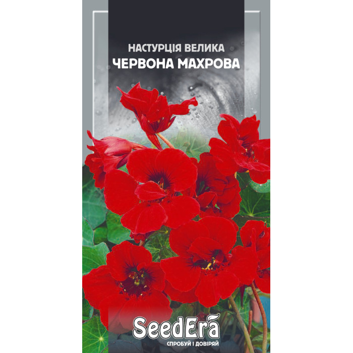 Семена Цветы Настурция большая Красная махровая Seedera, 1,5 г