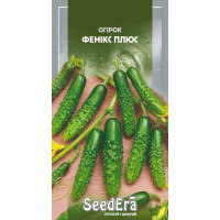 Насіння Огірок Фенікс плюс Seedera, 10 г