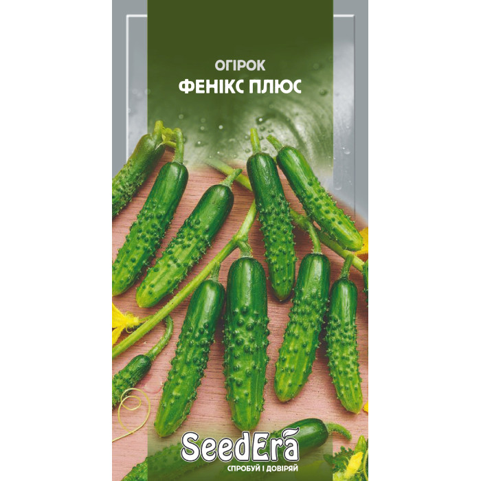 Семена Огурец Феникс плюс Seedera, 10 г