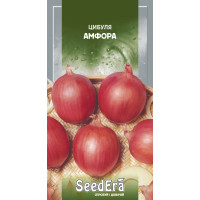 Семена Лук репчатый красный Амфора Seedera, 1 г