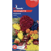 Семена Цветочной смеси Сухоцветы Икебана (0.5г)