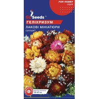 Геліхризум Лакові мініатюри