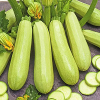 Кабачок Элеонор 5шт