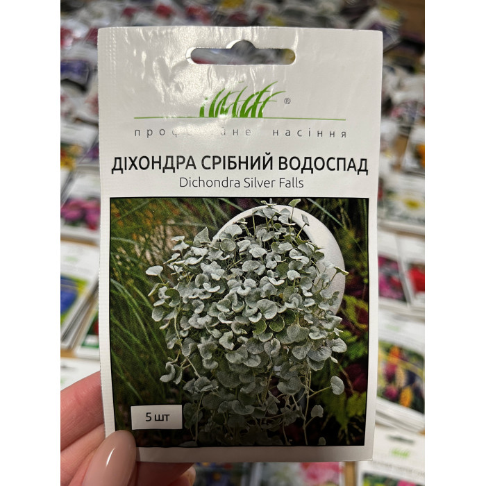 Дихондра Серебряный водопад
