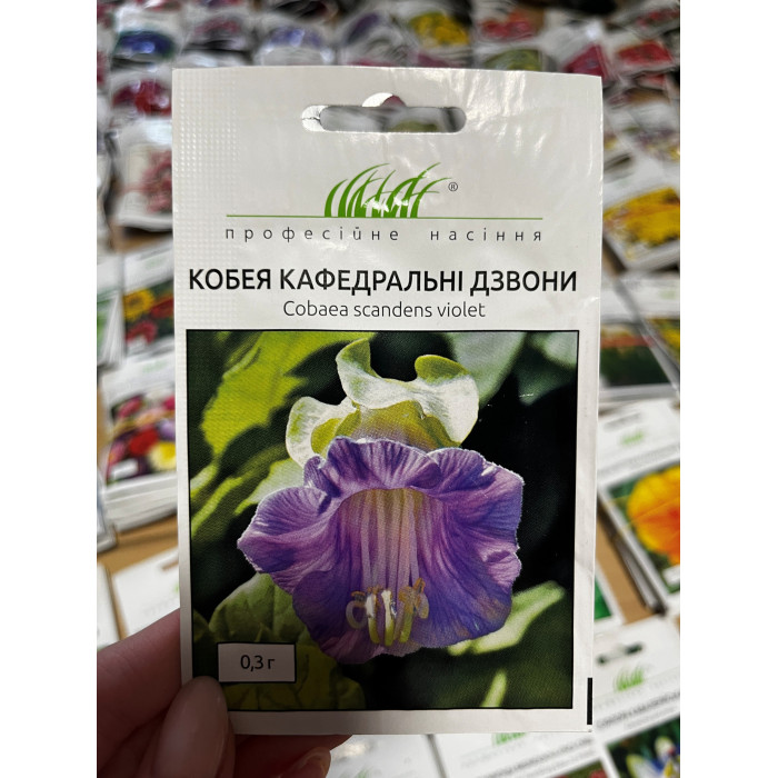 Кобея Кафедральные колокола