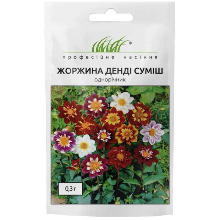 Жоржина Денді суміш низькоросла