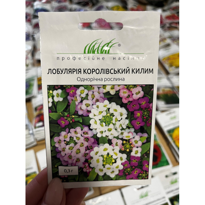 Лобулярия Королевский ковер