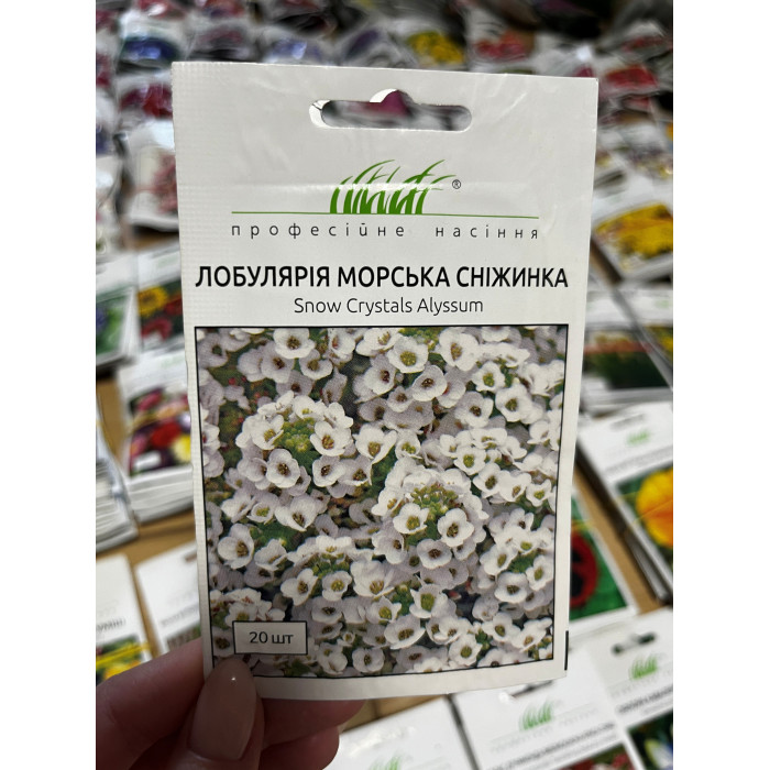 Лобулярия (алиссум) морская снежинка